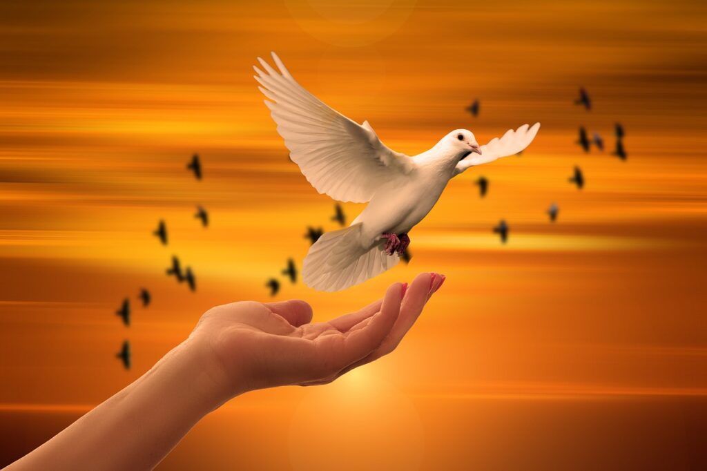 A dove being released from an open hand